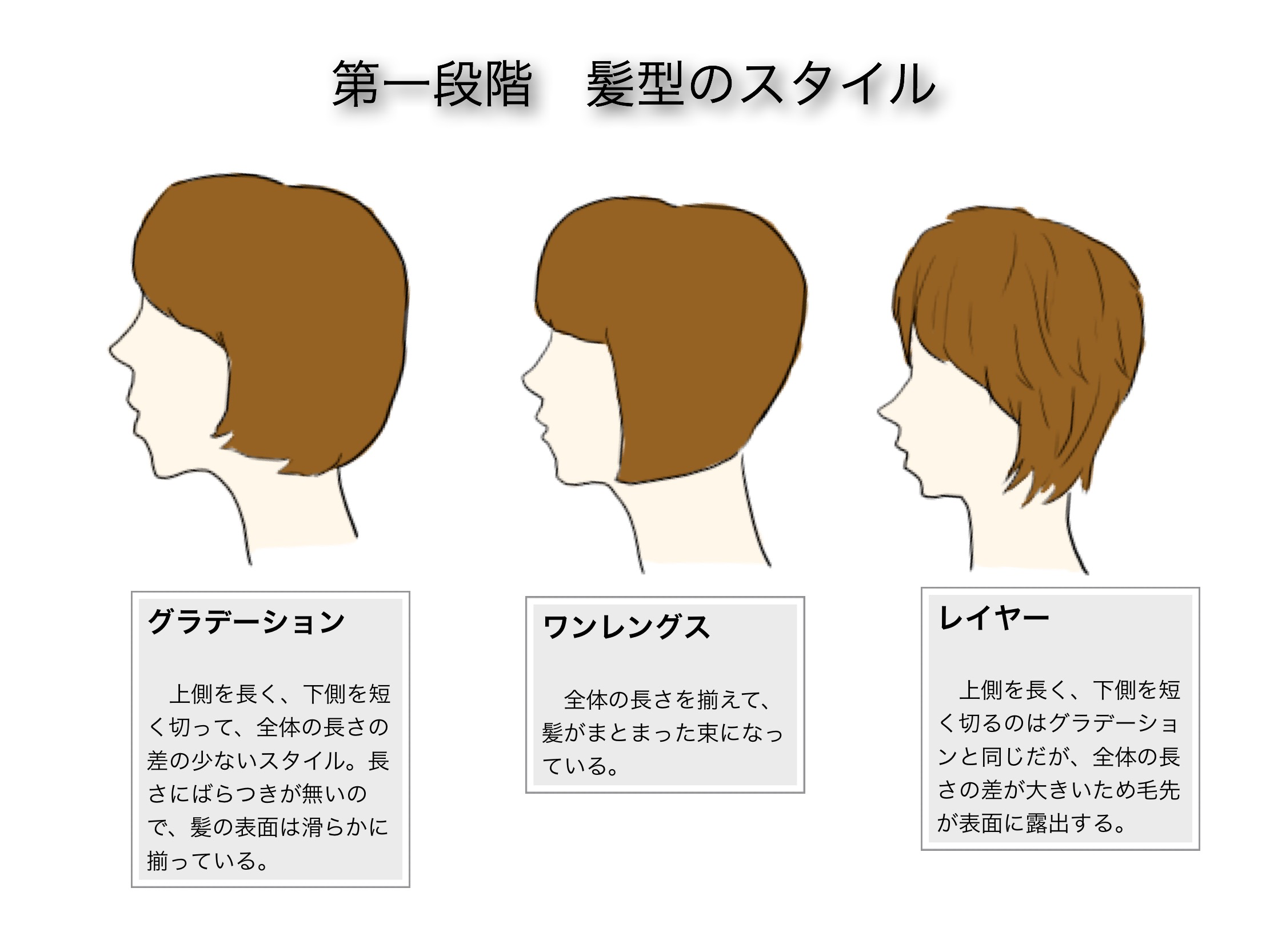 ヘアカットとデッサンを関連づけて考える髪の描き方