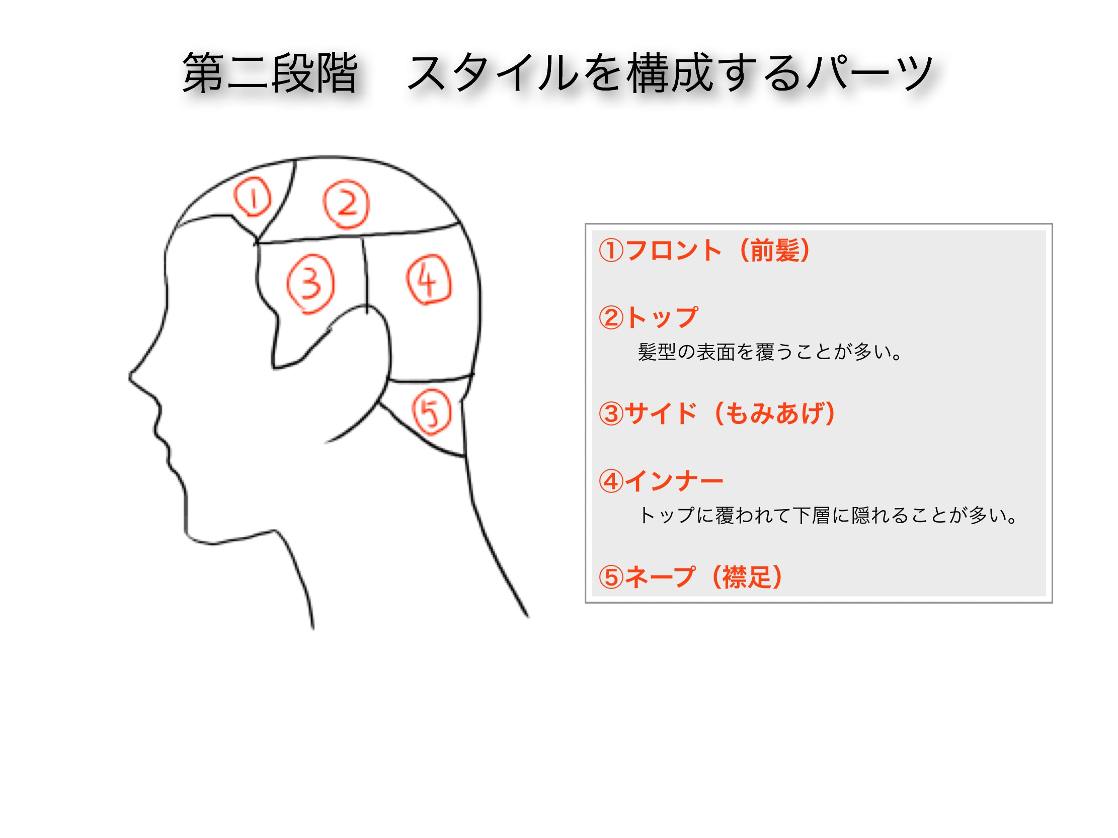 ヘアカットとデッサンを関連づけて考える髪の描き方