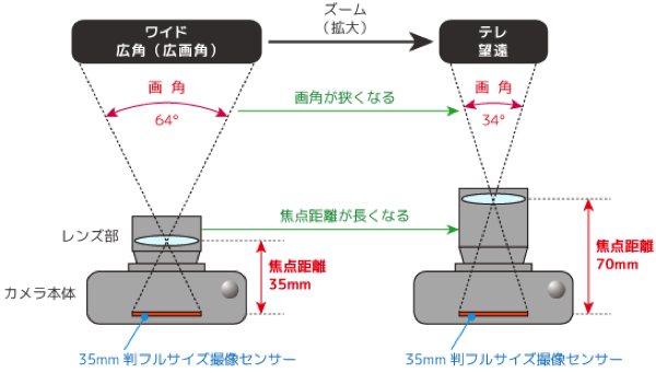 フィルム投影の構造